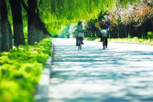 中学体育教师职称述职报告