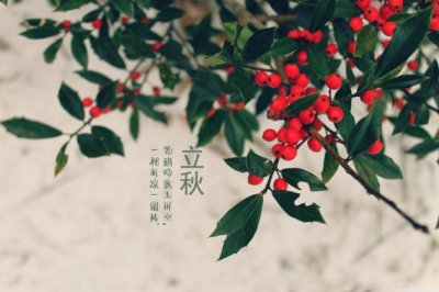 高一优秀作文：劳动最美
