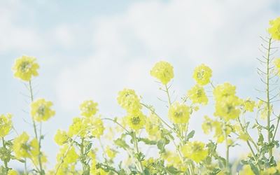 励志奖学金申请理由简短
