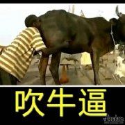 法律合规部年度工作总结
