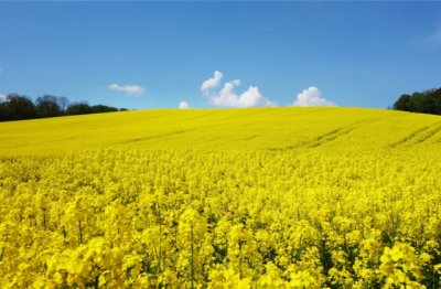 谈勤奋与懒惰