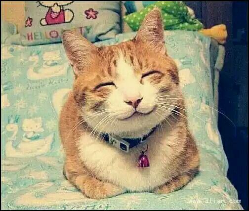 我最敬佩的人初中作文600字(锦集21篇)