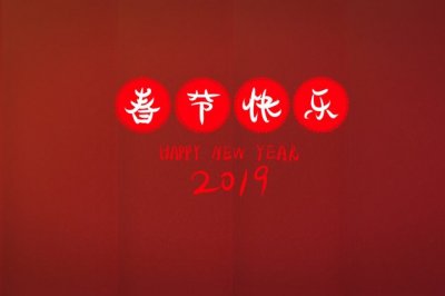 小班语言教案：小鸭找妈妈