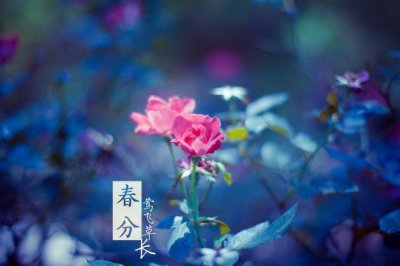 帮妈妈洗碗