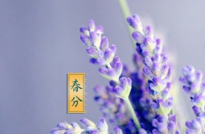 愉快的假期日记