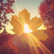 清明手抄报简单漂亮