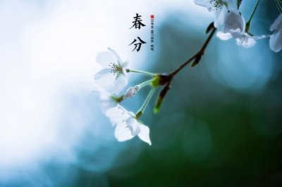 医院儿科年度工作总结