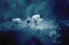 学生会的个人述职报告