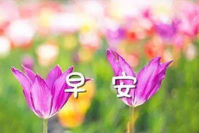 未来电话机