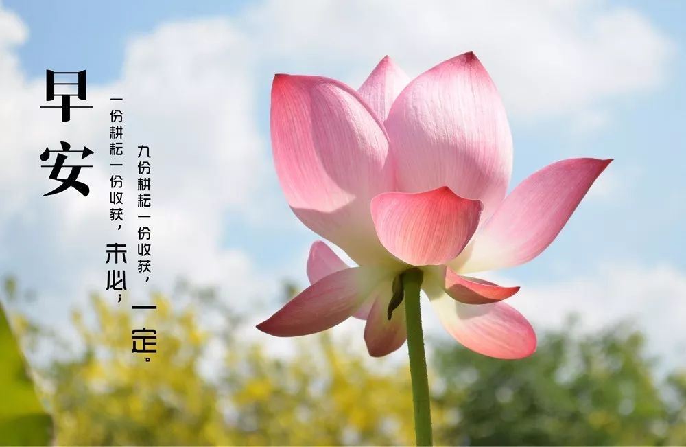 徐再思折桂令·春情_赏析