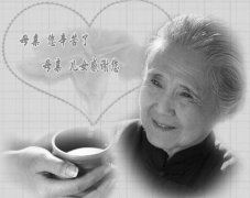 神奇的胖大海