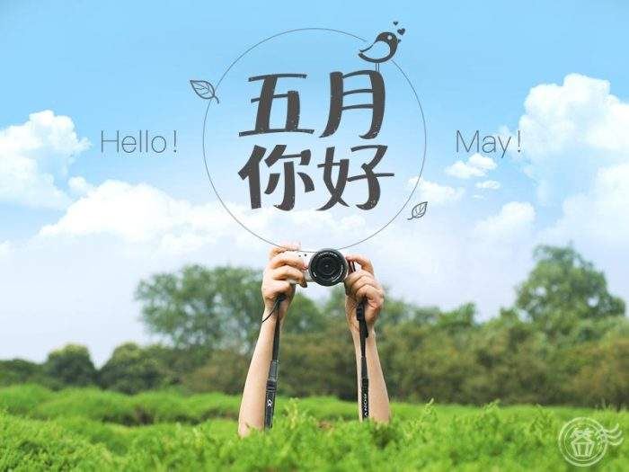 我的妈妈左右