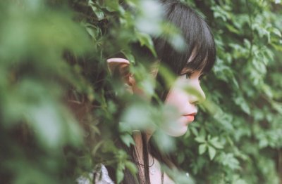 我的专业 My Major