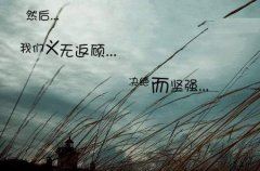 雨中趣事