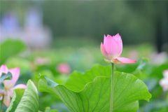 社区介绍信