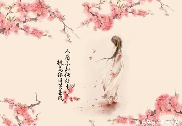 如何区分审计报告类型