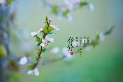 慌张造句