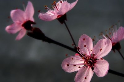 散文阅读年轻_