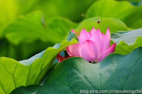 摘选外商邀请函示例