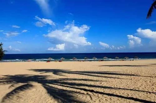 青年发展 Youth Development