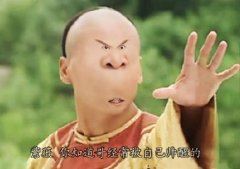介绍海豚