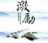 一朵牡丹花的剪纸步骤