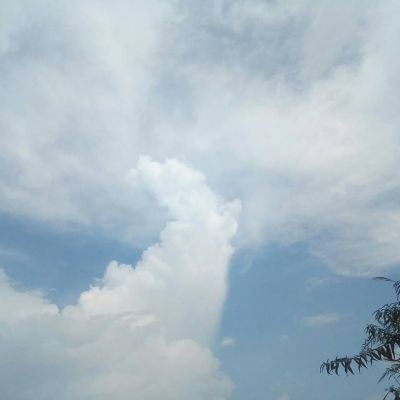 陈赫造句（27个句子）