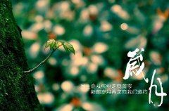 湖北高考作文阅读