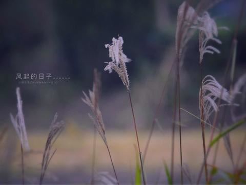 元宵节快乐的个性签名