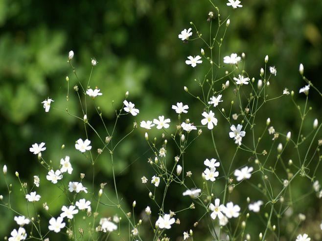 新学期心理健康教育听后感集合5篇