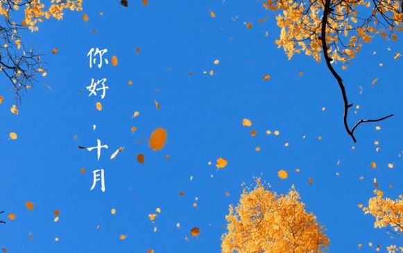 教师节的致辞【汇编十篇】