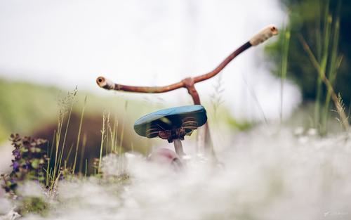描写我的爸爸：我的懒爸爸