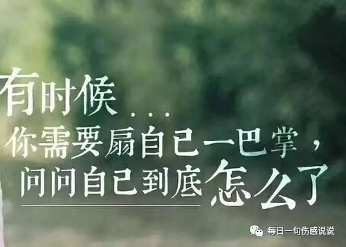 杭州G峰会：办好g_当好东道主