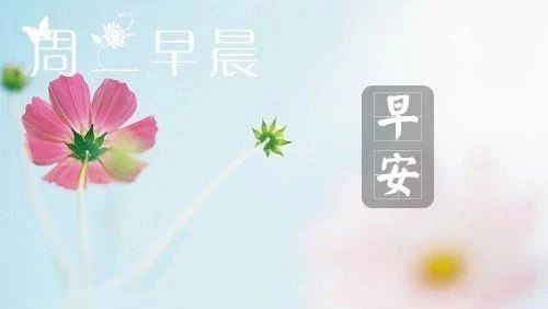 护士辞职申请书