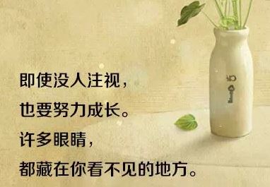 我的优点和缺点