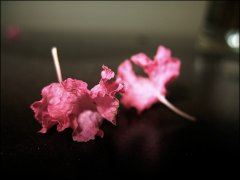 我家的中秋节