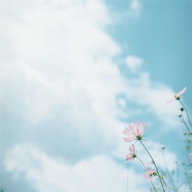 第一次骑自行车