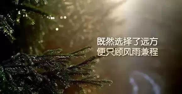工作的格言91条