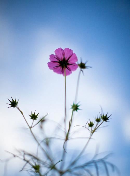 我敬佩的姥姥作文精选15篇