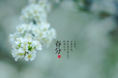 水仙子咏江南_原文及翻译赏析