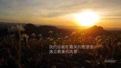 二年级小熊开店说课稿