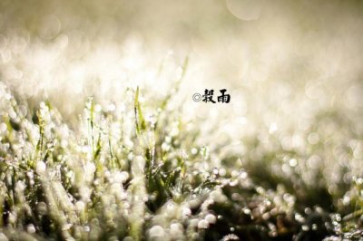 一场激烈的足球赛