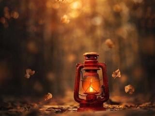 小学新学期开学典礼校长的发言稿(合集十篇)