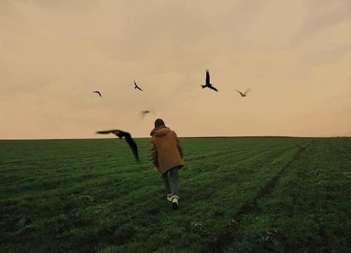 养花读后感