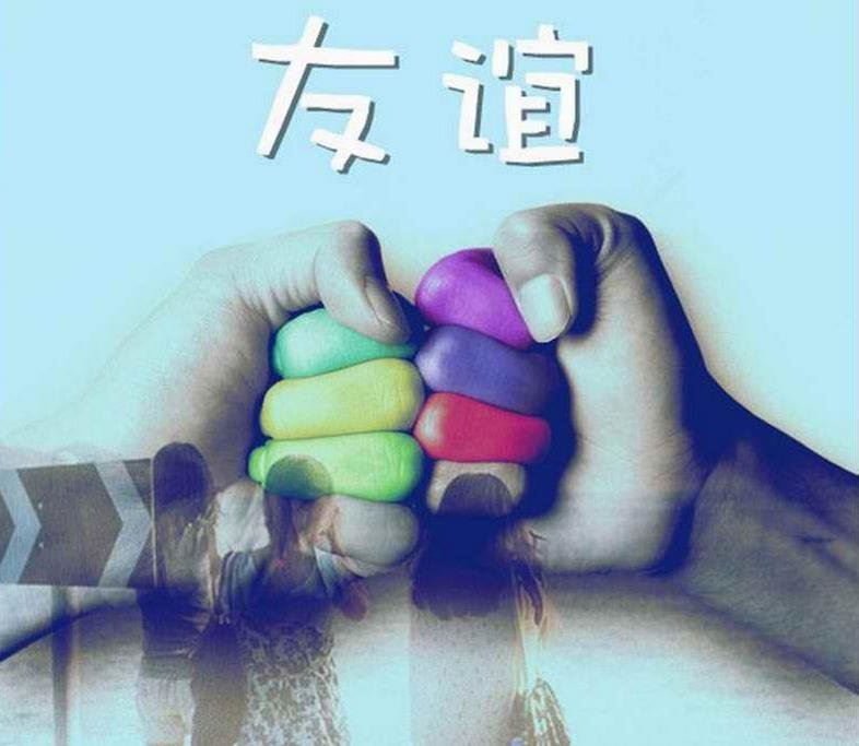 大象的驯化 The Train of Elephant