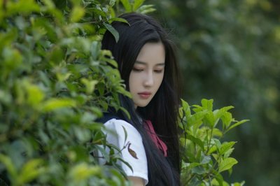 班主任述职报告(15篇)