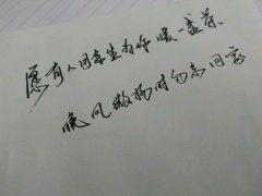 小学四年级学习雷锋作文