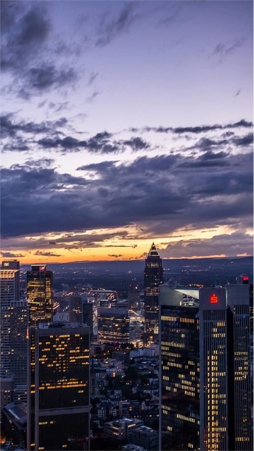 观察日记牛集合14篇