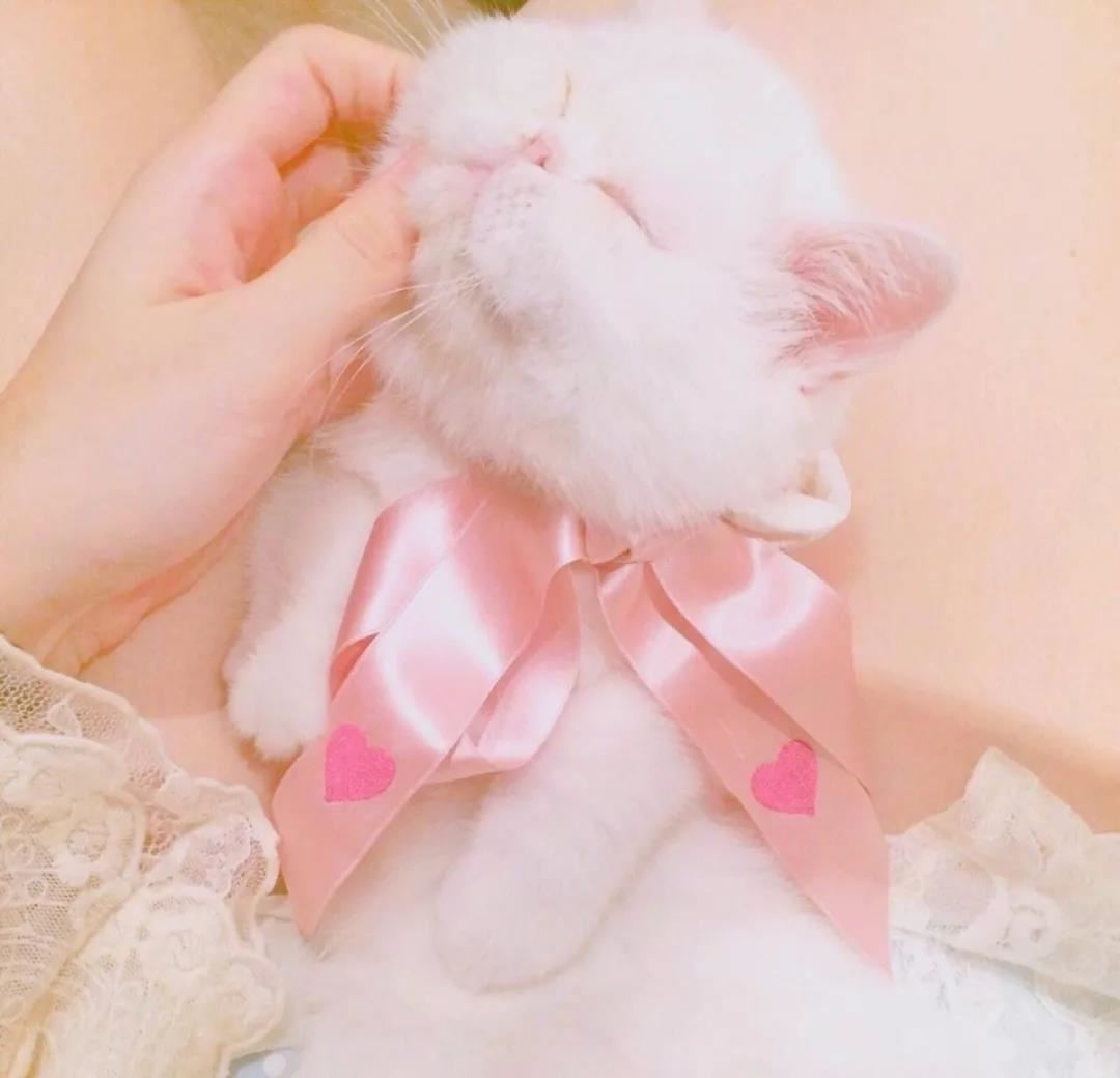 优美文艺句子77条