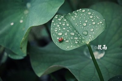 经典经典语录55条